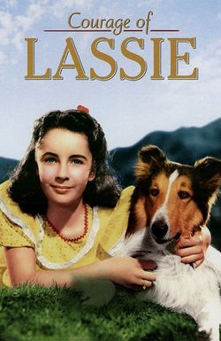 Courage of Lassie