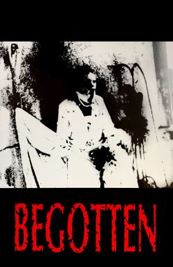 Begotten