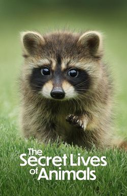 The Secret Lives of Animals