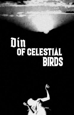 Din of Celestial Birds