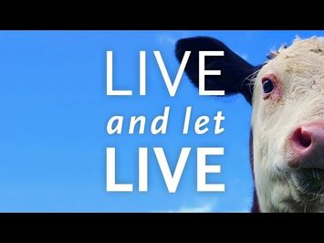 Live And Let Live - Trailer