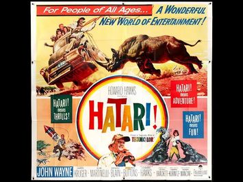 Michael Schlesinger on HATARI!