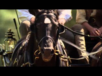 Black Beauty - Trailer