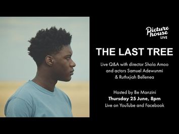 The Last Tree Q&A with Shola Amoo, Samuel Adewunmi and Ruthxjiah Bellenea