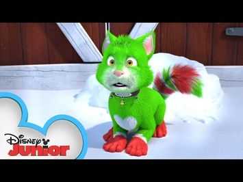 Official Trailer! ?| Spookley and the Christmas Kittens | Disney Junior