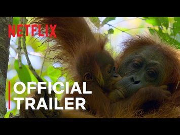 Official Trailer