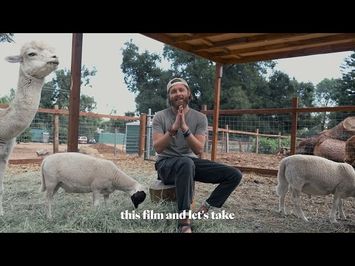 We rescued Lambs from Ritual Slaughter! Plus, Red Carpet Giveaway!