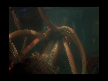 “Giant Squid”