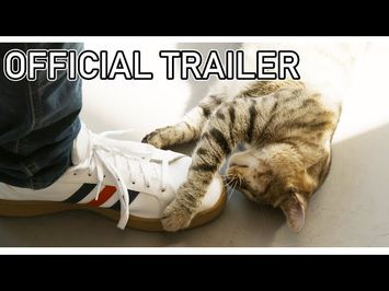 The Cat Town Story | Official Documentary Trailer 4k ??