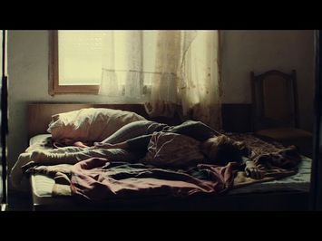 Looking for Venera – trailer | IFFR 2021