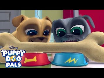 Theme Song | Puppy Dog Pals | Disney Junior