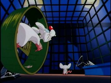 Pinky and The Brain Intro