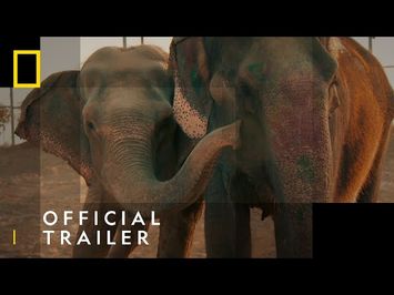 Official Trailer | Jungle Animal Rescue | National Geographic Wild UK