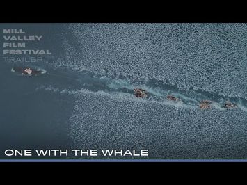 MVFF46 - ONE WITH THE WHALE - Official Trailer