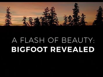 A Flash of Beauty trailer