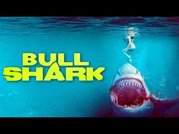 BULL SHARK - WORLD PREMIERE 2022 - FULL HD ACTION MOVIE IN ENGLISH