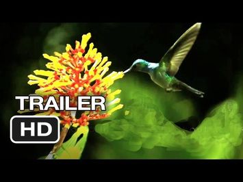 Disneynature: Wings of Life Official US DVD Release Trailer #1 - Meryl Streep Movie HD