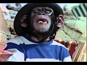 Lancelot Link: Secret Chimp Teaser Video OFFICIAL