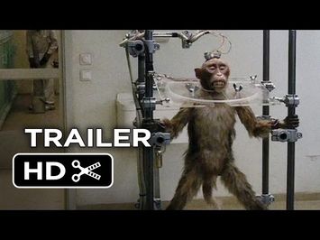 A Pigeon Sat on a Branch Reflecting on Existence Official US Release Trailer 1 (2015) - Movie HD