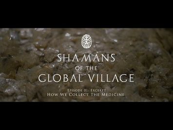 Shamans of The Global Village Episode 01 Excerpt - How We Collect The Medicine