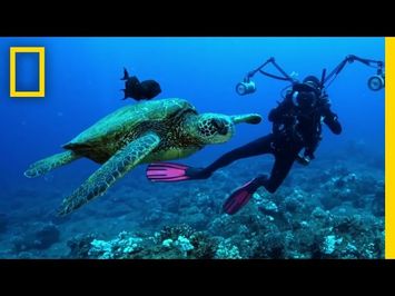 Understanding the Oceans | Sea of Hope: America's Underwater Treasures