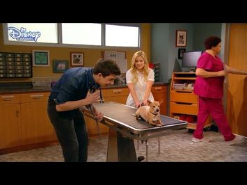 I Didn't Do It | The Checkup ? | Disney Channel UK