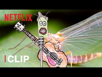 The Cycle of Life of a Mayfly ? Absurd Planet | Netflix Futures