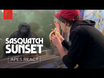 Apes' Sasquatch Sunset Trailer Reaction