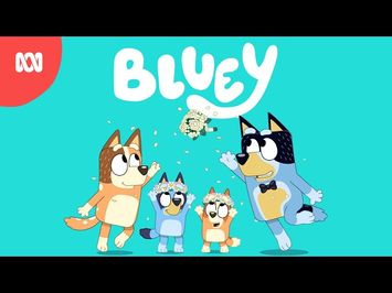 ?? Catch the Wedding of the Year! ?? | Bluey | ABC Kids