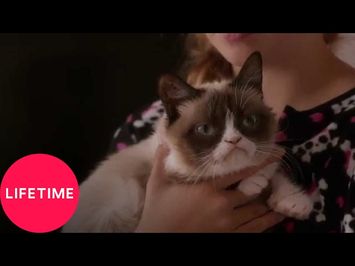 Grumpy Cat's Worst Christmas Ever | Lifetime