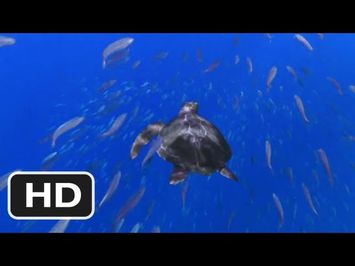 Turtle: The Incredible Journey Movie (2011) Trailer HD