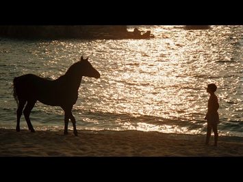 Caleb Deschanel on Filming THE BLACK STALLION