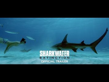 SHARKWATER EXTINCTION Official Trailer [4K ULTRA HD]