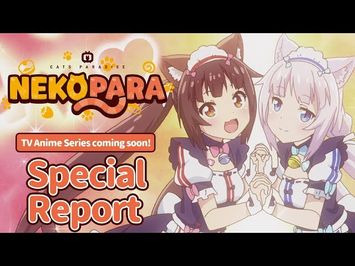 TV Animation NEKOPARA　Special Report（English）