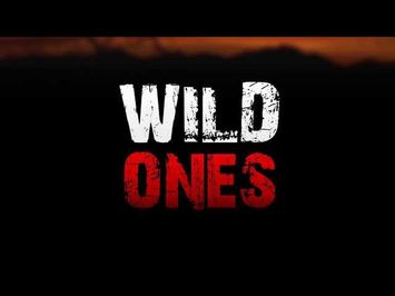 Wild Ones - Appetizer