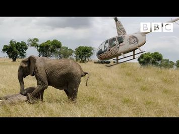 Elephants rescued by helicopter ?? - Equator from the Air - BBC