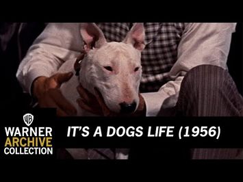 Wildfire's Last Fight | It’s A Dogs Life | Warner Archive