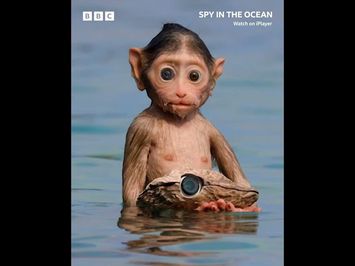 SPY IN OCEAN - TRAILER Narrated by David Tennant