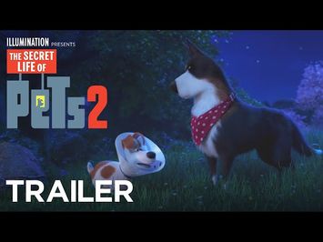 The Rooster Trailer