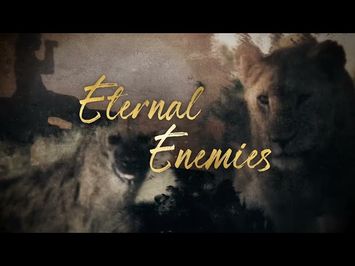 Eternal Enemies - Trailer - Wildlife Films - National Geographic