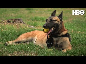 War Dog: A Soldier's Best Friend (2017) | Official Trailer | HBO