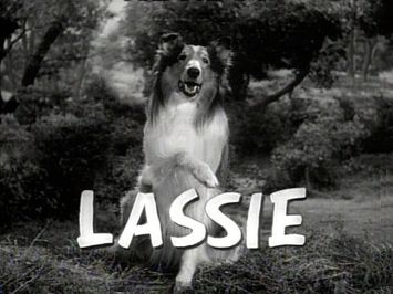 Lassie 1954 - 1973 Opening and Closing Theme (With the Lone Ranger Snippet)