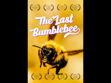 The Last Bumblebee Trailer