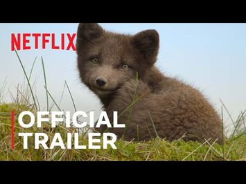 Wild Babies | Official Trailer | Netflix