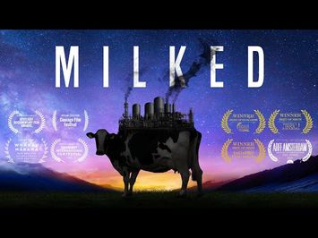 MILKED // Official trailer