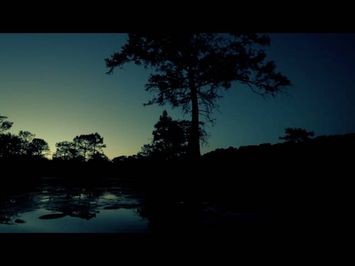 Boggy Creek Monster: The Truth Behind the Legend (2016) Teaser Trailer