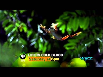 Life in Cold Blood - Saturdays at 6PM