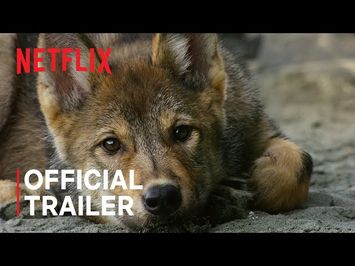 Official Trailer