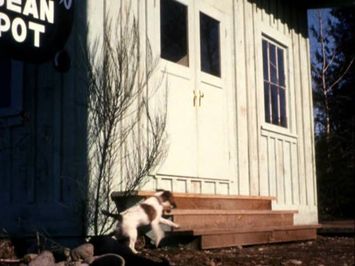 Charlie The Lonesome Cougar