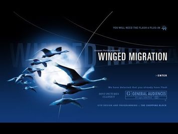 Winged Migration - Le Peuple Migrateur | Official Trailer